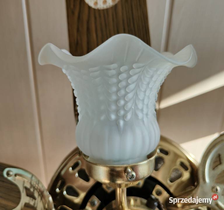 Lampa sufitowa wiatrak wentylator żyrandol sprzedam