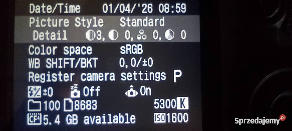 Canon 5D Classic mały przebieg zadbany dodatkowe Książ Wielkopolski