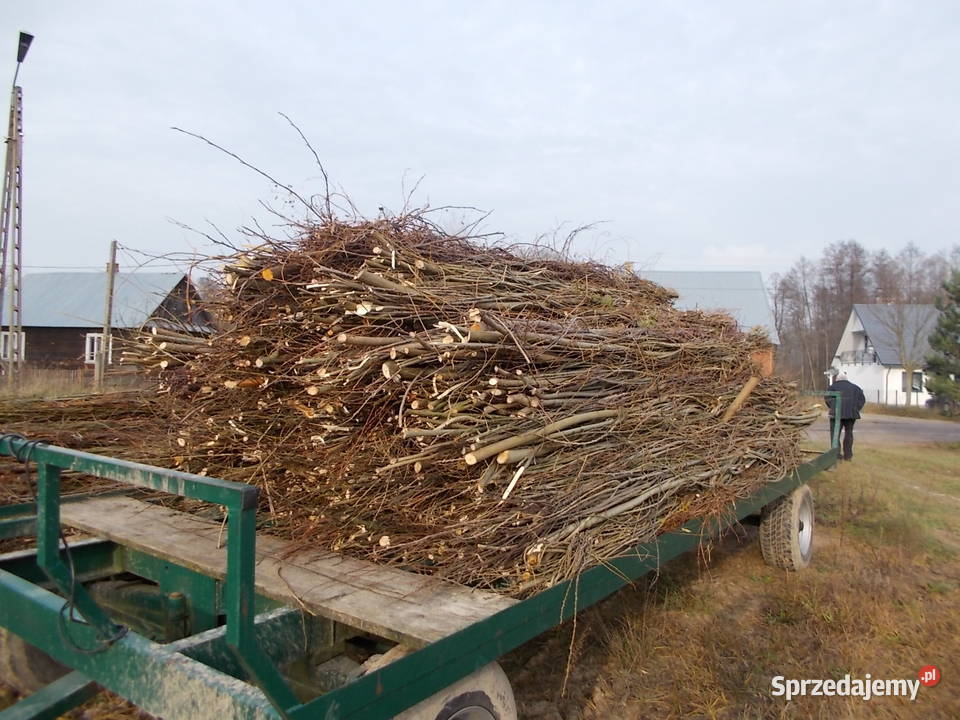 wykonuję kiszkę faszynową Bielsk Podlaski