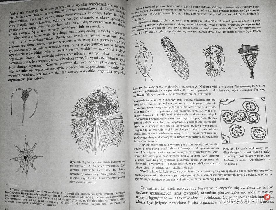 Ogólne zasady biologii Andrzej Grębecki sprzedam