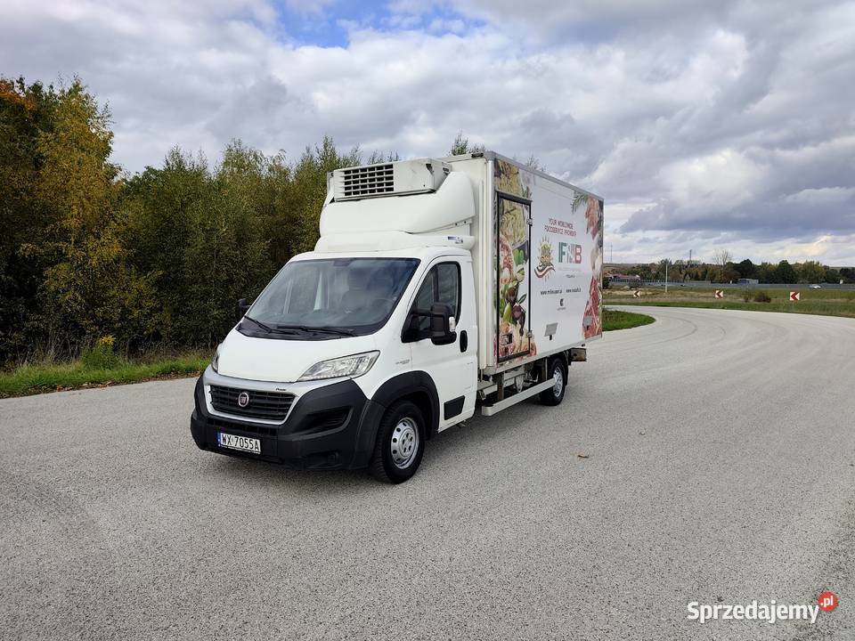 Fiat Ducato Maxi ChłodniaMroźnia 23 180 2019 Dwa świętokrzyskie Wodzisław