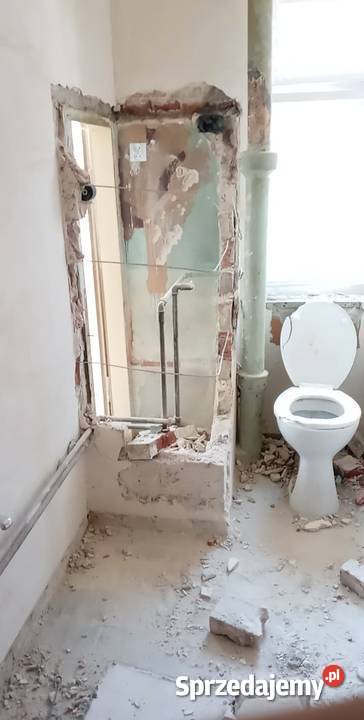 Usługi Porządkowe Ogrodowe i Zabrze prace ogrodowe