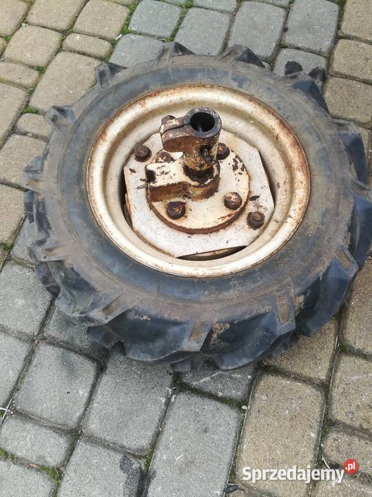 Glebogryzarka dzik firmy Honda Glebogryzarki