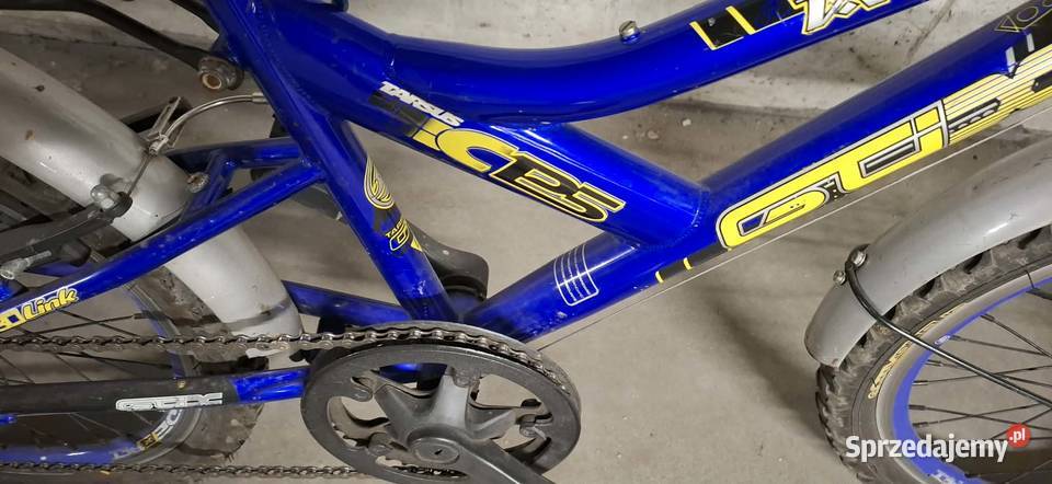 Rower dziecięcy 20 solidny gotowy do jazdy Rowerki i pojazdy śląskie Katowice