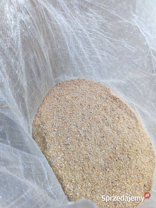 Karmapasza sruta sprzedam
