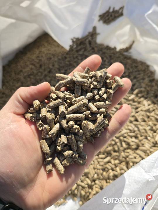 Pellet opałowy lubelskie Kolonia Bystrzyca