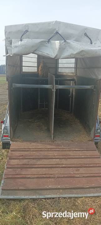 Przyczepka do przewozu koni 2 Drobin sprzedam