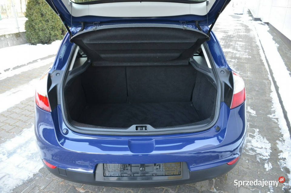 Renault Megane 16i 16V 110 Serwisowany czujnik zmierzchu Kutno