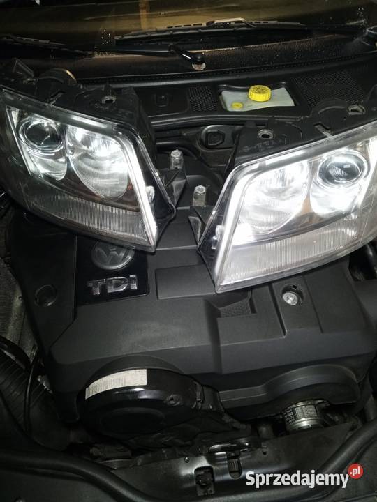 Lampy przednie Hella Passat B5 fl Chełmża