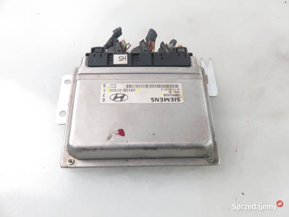 STEROWNIK HYUNDAI SANTA FE I 27 V6 3910837500 osobowe