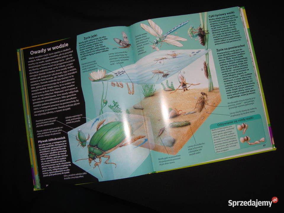 Natura Świat Owadów album z fotoopisem twarda