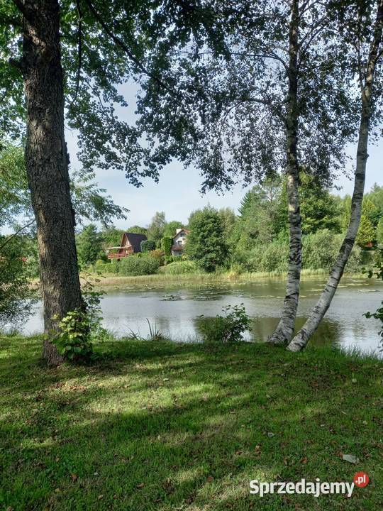 Działka Rod Olszanka