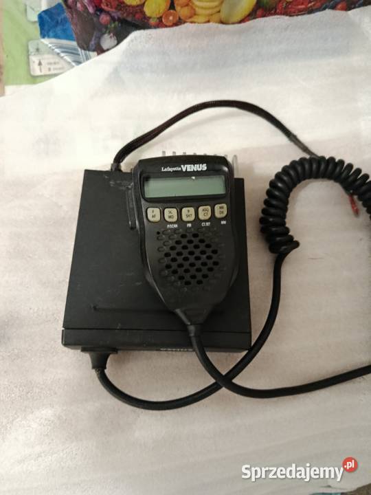 Cb Radio President Teddy Kłodzko
