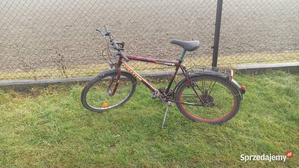 rower forester gurski Brzostek