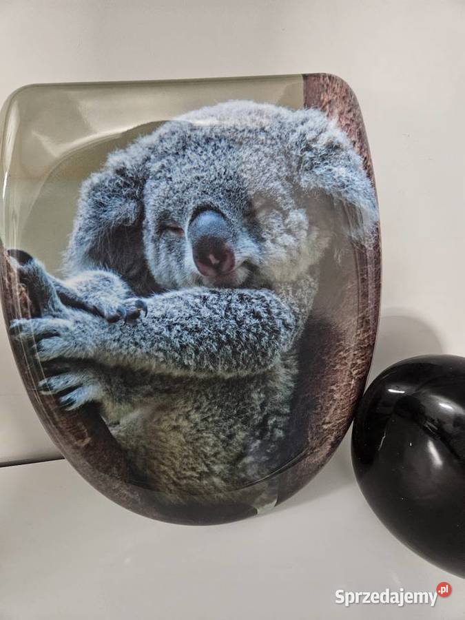 Deska sedesowa Koala Lubartów