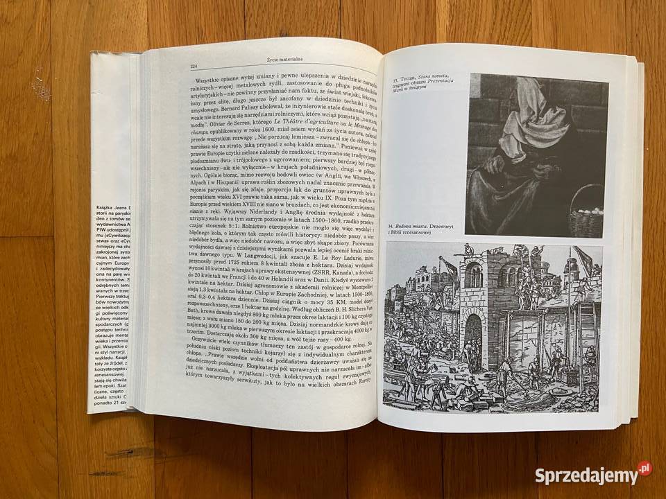 Jean Delumeau Cywilizacja Odrodzenia seria Katowice