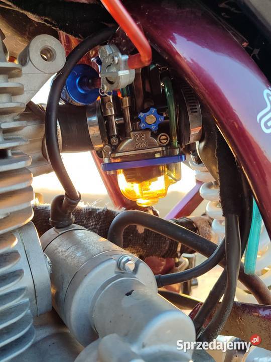 Diabolini 250 Wierciszów