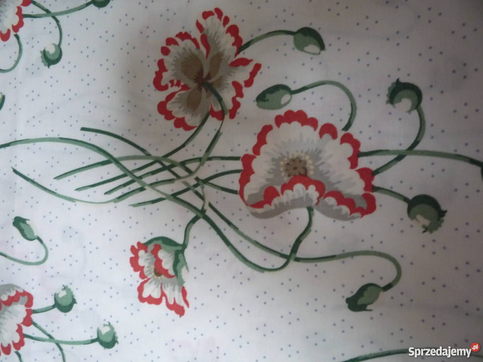 Angielski materiał Ryki