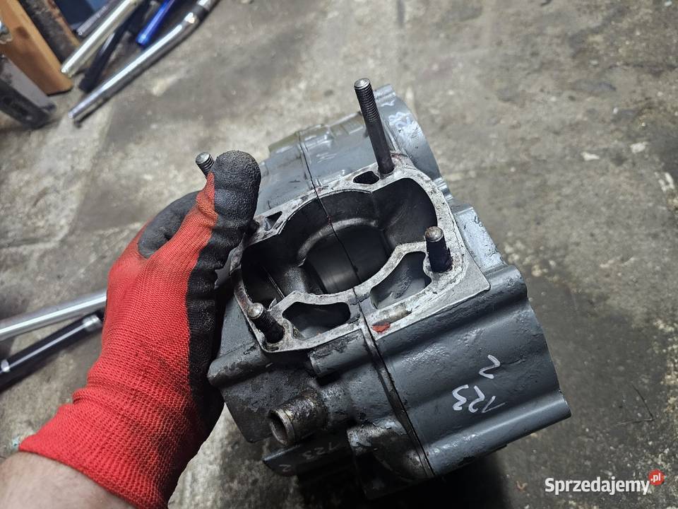 Rotax 123 kartery połówki silnika karter lewy Motoryzacja