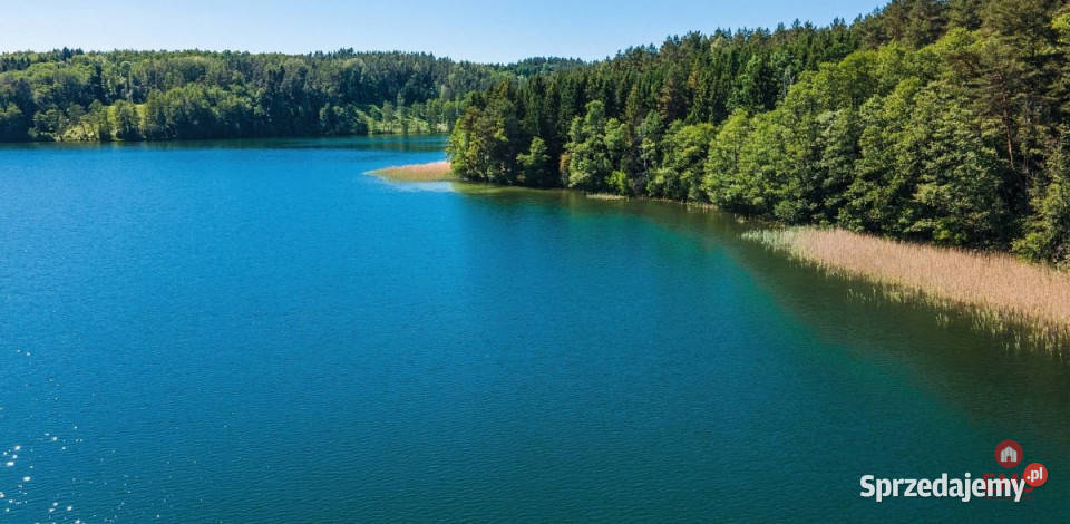 Ogłoszenie działka 3000m2 Nowe Krzywe warmińsko-mazurskie sprzedam