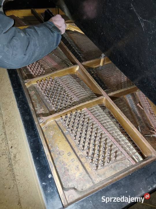 Fortepian z piwnicy Babci Opole