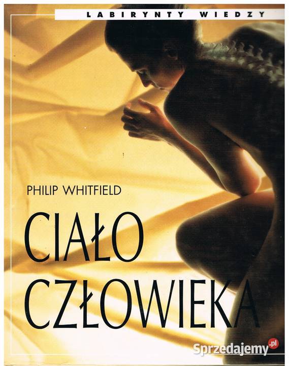 Ciało człowieka Rumia