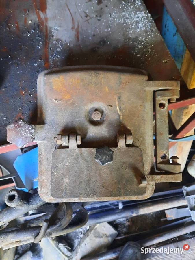 Kamino zebiec mazowieckie Ciechanów