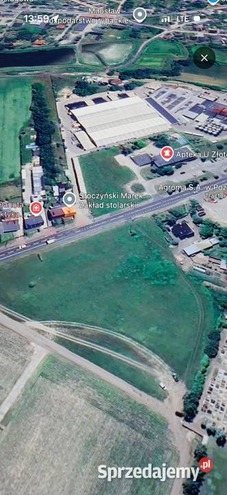 MIŁOSŁAW DK15 GOTOWY GRUNT POD INWESTYCJĘ 117 ha Miłosław