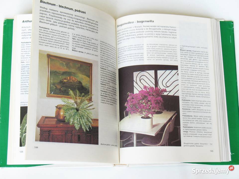 Mieszkamy wśród kwiatów Margot Schubert Rob Kraków