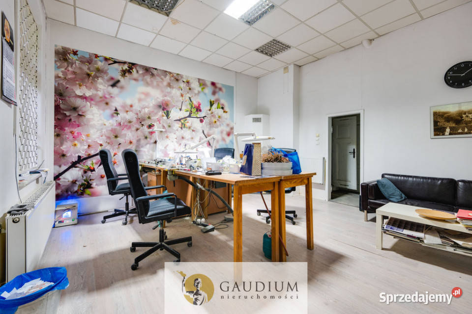 Kameralny lokal do wynajęcia Gdańsk