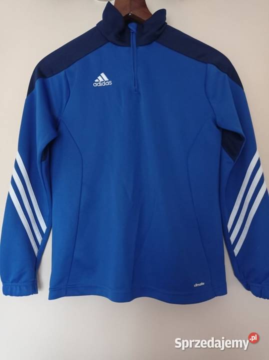 Niebieska bluza dresowa Bluzy Hajnówka sprzedam
