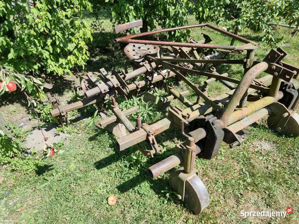 Wielorak pazurki obsypnik dołkownik Pozostałe Goczałków