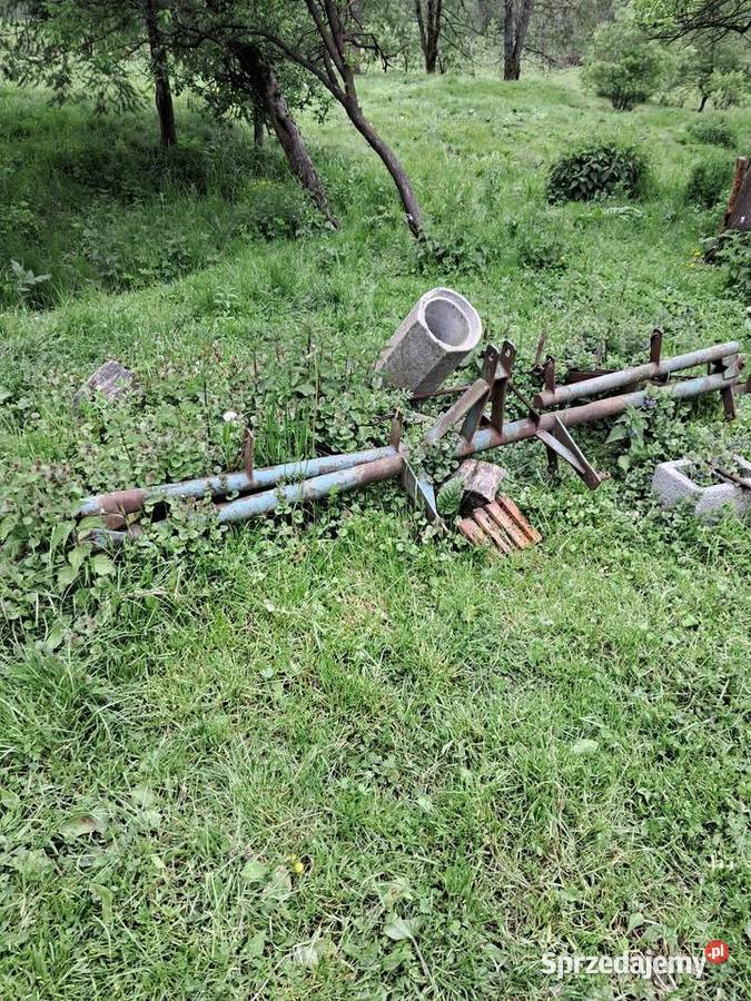 Brony 5 polowe Stawisza