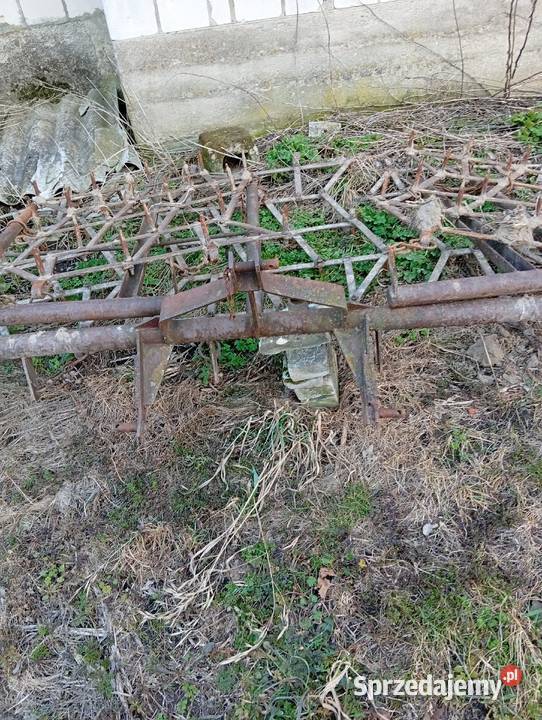 Brony 5 podlaskie Sanie-Dąb