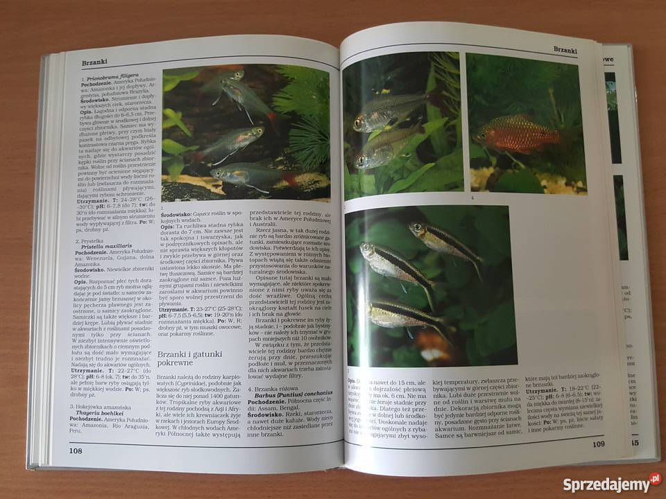 Książka PORADNIK Akwarium słodkowodne Dreyer i Złotniki