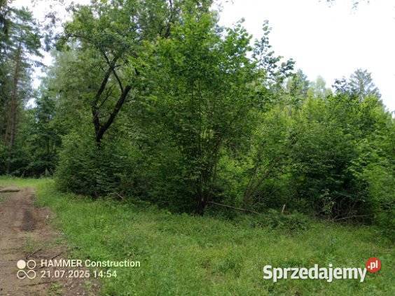 Działka rolno leśna na Podlasiu zamiana 10zł/m2 Supraśl