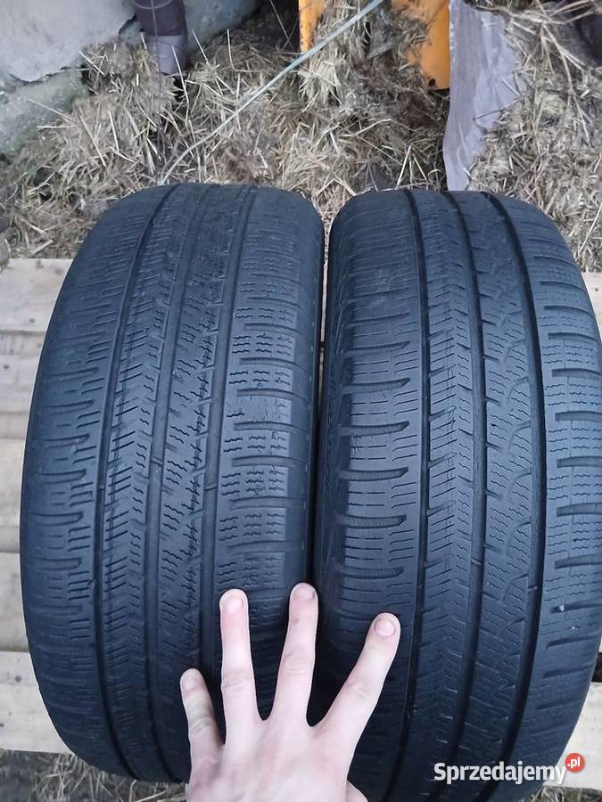 Opony letnie 1955516 Apollo Skierniewice