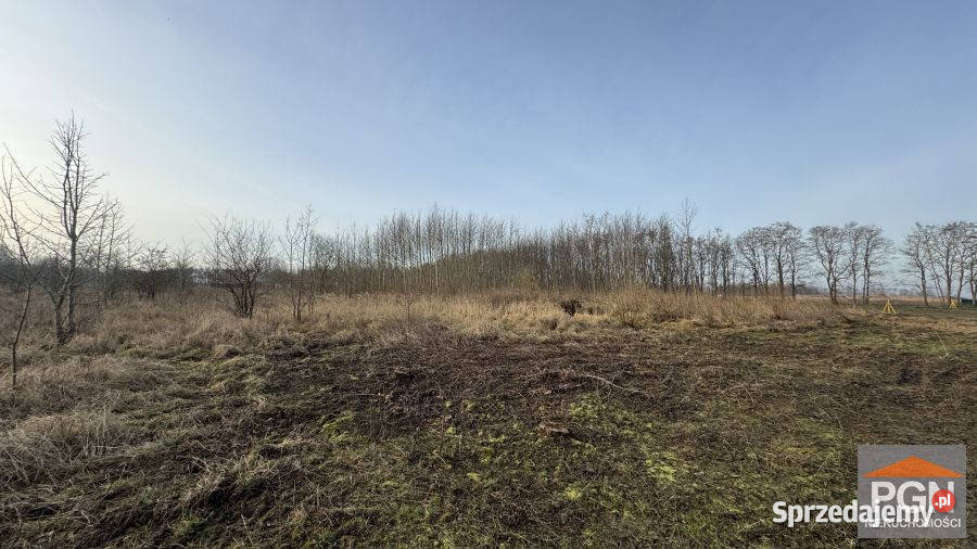 Działka 2002m2 Buniewice kanalizacja
