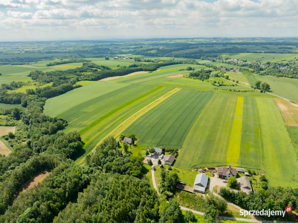 Sielska nieruchomość w otoczeniu natury 220 HA Grzegorzowice Wielkie
