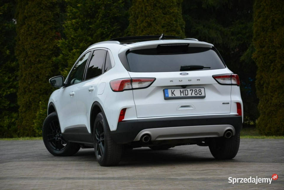 Ford Kuga 25PHEV225 FV23 RadarACC Navi Ledy elektrochrom. lusterka boczne mazowieckie Ostrów Mazowiecka