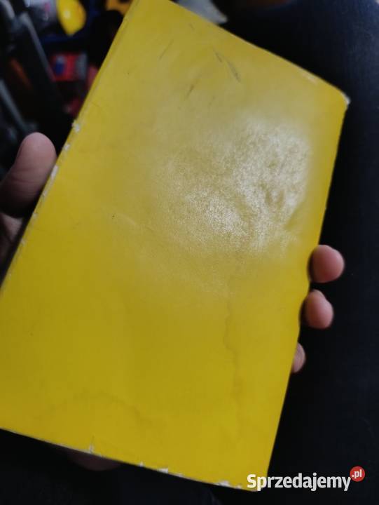 Gdybym była chłopcem autorstwa Jana Kurczaba