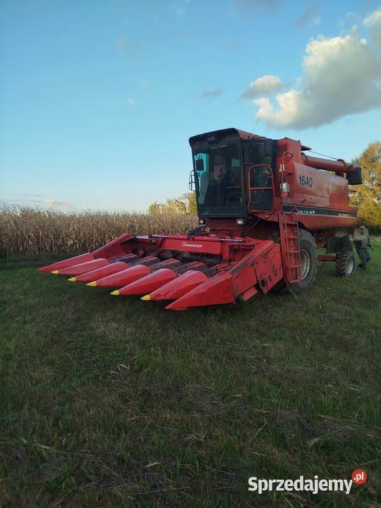 Przystawka do kukurydzy Geringhoff PC6 składana nieuszkodzony Rejowiec Fabryczny