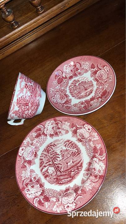 Filiżanka Enoch Woods Wood Sons England Scenery