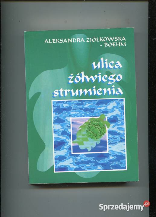 Ulica Żółwiego Strumienia Ziółkowska Szczecin