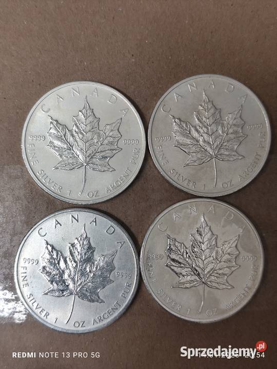 Srebrna monety maple leaf Zielona Góra
