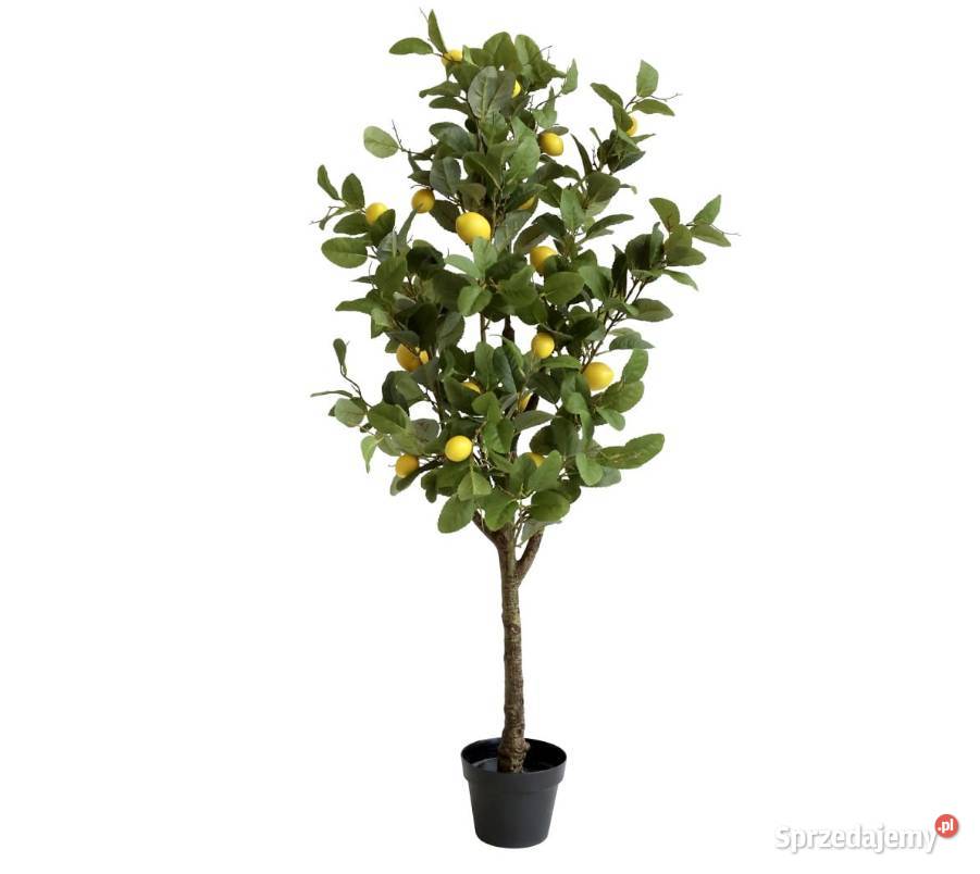 Sztuczna cytryna w doniczce Premium duża 120 Nowy Sącz sprzedam