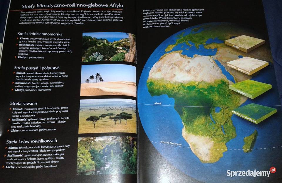 Puls Ziemi 2 Podręcznik do geografii kl 2 Płyta miękka Pozostałe Książki i Podręczniki Chełm