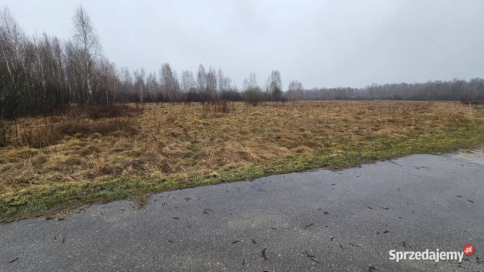 Działka Rolna Szczerców Podklucze 2769m2 2769m2