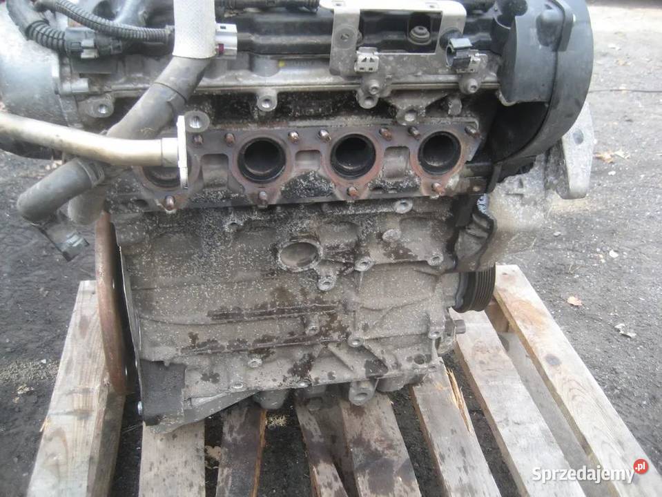 vw passat b6 20 fsi benzyna silnik motor symbol osobowe Rakoniewice