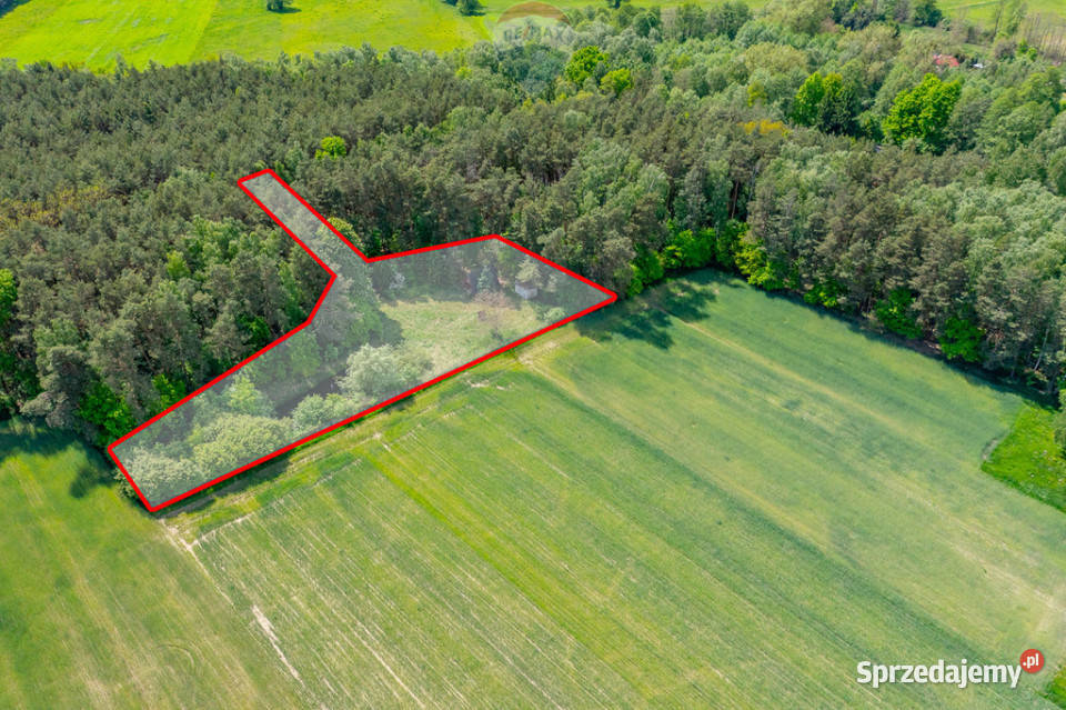 Budowlana 2300 m ze stawem i zielenią Góry Prusinowskie